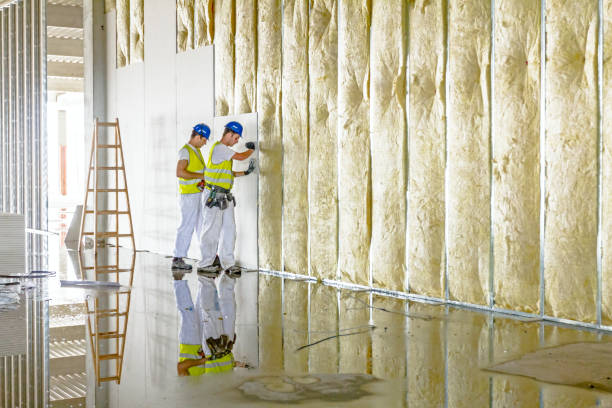 Insulation Repair Services in Chelsea, AL